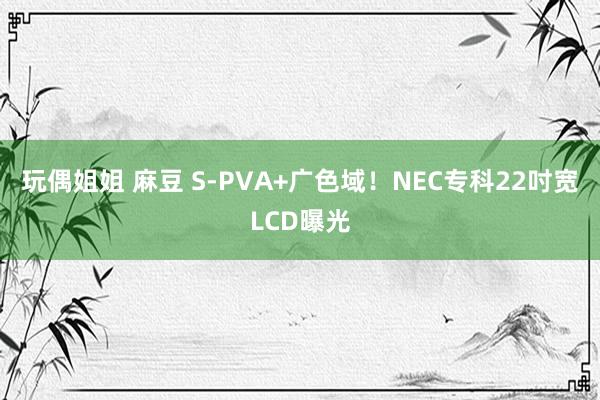   玩偶姐姐 麻豆 S-PVA+广色域！NEC专科22吋宽LCD曝光